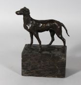 A BRONZE DOG on a marble plinth. 7.5ins overall.