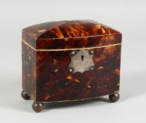 A GOOD REGENCY TORTOISESHELL SHAPED DOMED TOP TWO-DIVISION TEA CADDY on four bun feet. 5ins long.
