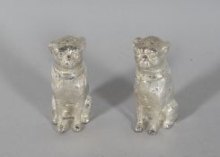 A PAIR OF SILVER PLATE DOG SALT AND PEPPERS. 2.5ins high.