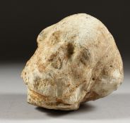 AN EARLY, POSSIBLY 16TH CENTURY, CARVED STONE HEAD. 4.5ins long.