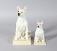 A RARE ROYAL WORCESTER BULL TERRIER, modelled by DORIS LINDNER, inscribed BILL, and SMALLER VERSION.