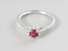 AN 18CT WHITE GOLD, ROUND SPINEL (0.50cts) AND DIAMOND (0.29cts) HALO RING.