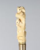 A CARVED BONE RATS HANDLE WALKING STICK. 34ins long.