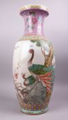 A LARGE CHINESE FAMILLE ROSE PORCELAIN PEACOCK VASE, with decoration of peacocks in landscapes