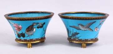 A PAIR OF JAPANESE MEIJI PERIOD CLOISONNE JARDINIERE'S, each with turquoise enamel ground with