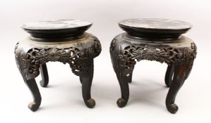 A PAIR OF 19TH CENTURY ORIENTAL HARDWOOD CARVED STANDS, stood upon four carved curving feet, with