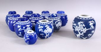 A COLLECTION OF ELEVEN 20TH CENTURY CHINESE BLUE AND WHITE PRUNUS PATTERN GINGER JARS, three lacking