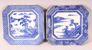 A PAIR OF CHINESE BLUE AND WHITE OCTAGONAL SHAPED PORCELAIN DISHES, each painted to the centre