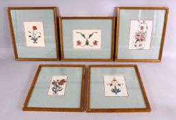 A FINE SET OF FIVE 19TH CENTURY FRAMED INDIAN SCHOOL FLORAL ARCHITECTURAL PAINTINGS. PROBABLY