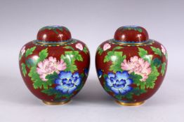 A PAIR OF CHINESE CLOISONNE GINGER JARS AND COVERS, decorated with a bird amongst flowers, 16cm