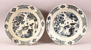 A PAIR OF CHINESE WANLI PERIOD BLUE & WHITE SHIPWRECK PORCELAIN PEACOCK DISHES.