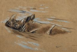Raymond John Vandenbergh (1889-1960's) British, 'Rhinoceros Having a Swim', pastel, signed with