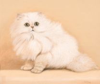 Lew Helyes, circa 1970, A study of a white kitten, pastel, signed, 10