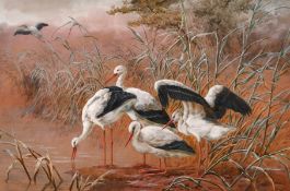Harry Bright (1846-1895) British, Storks in a landscape, watercolour, signed, 14