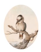 Neville Henry Peniston Cayley (1853-1903) Australian, A kookaburra sitting on a gnarled stump,