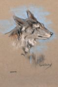 Raymond John Vandenbergh (1889-1960's) British, 'A Portrait of a Coyote', Pastel, signed, 10