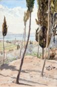 Follower of Edward Lear, A landscape of a Cyprian town on the horizon with trees in the