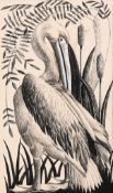 Circle of John Nash, Scene of a pelican amongst reeds, pen and ink, 6