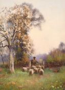 Benjamin Sigmund (1857-1947) British, A Shepherd and his flock beneath blossom, watercolour, signed,