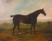 David Dalby (1794-1836) British, 'A Black Hunter in a Field', oil on canvas, signed on stretcher