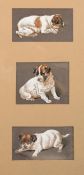 Late 19th century British, Three studies of a puppy in various poses, watercolour, initialled 'C. B.