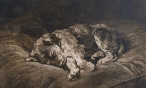 Herbert Dicksee (1862-1942) British, Sleeping puppy, etching on vellum, signed in pencil, 10