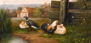 20th/21st century, Ducks and chickens by a pond with farm buildings beyond, oil on canvas, 10