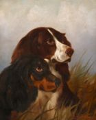 Colin Graeme (1858-1910), A study of two spaniels, oil on canvas, signed and dated, 11.5