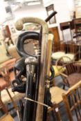 Various walking sticks.