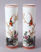 A PAIR OF 19TH/20TH CENTURY CHINESE FAMILLE ROSE PORCELAIN SLEEVE VASES, the bodies decorated with a