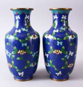 A GOOD PAIR OF 19TH/20TH CENTURY CHINESE CLOISONNE VASES, with native displays of flora upon