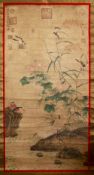 TWO GOOD LARGE CHINESE PAINTED SCROLLS - BIRDS AND PEACOCK, the peacocks stood amongst native