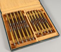 A SET OF TWENTY-TWO RHINO HORN HANDLED TEA KNIVES by MARIE LOUISE GROSSIN, LE HAVRE, in a fitted