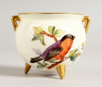 A ROYAL WORCESTER CAULDRON ON THREE PEG FEET painted with two birds by John Hopewell, date code