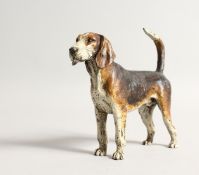 A COLD PAINTED BRONZE HOUND. 4.5ins long.