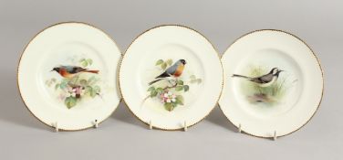 THREE ROYAL WORCESTER PLATES, painted with named birds by Wm. Powell, signed W. Powell.