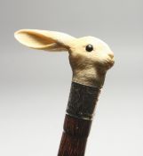 A VICTORIAN WALKING CANE with carved ivory handle, head of a hare with glass eyes. Birmingham