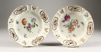 A GOOD PAIR OF 19TH CENTURY MEISSEN PORCELAIN PLATES, painted with flowers and birds. Cross swords