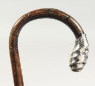 A WALKING STICK with silver handle. 3ft long.