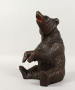 A BLACK FOREST CARVED WOOD SEATED BEAR TOBACCO JAR with glass eyes. 8.5ins high.