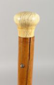A VICTORIAN WALKING CANE WITH IVORY HANDLE. 2ft 9ins long.