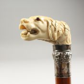 A 19TH CENTURY WALKING STICK, the handle carved as a DOG'S HEAD and silver band. 2ft 8ins long.