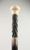 A WALKING CANE with ivory top and silver band. 3ft long.
