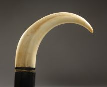 A NATIVE WOODEN WALKING STICK with BONE CLAW HANDLE. 2ft 11ins long.