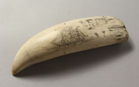 A WHALEBONE SCRIMSHAW TOOTH. 7ins long.