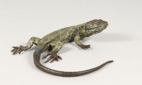 A LARGE COLD CAST LIZARD. 8ins wide.