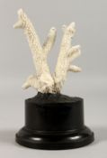 A WHITE CORAL ON A STAND. 4ins.
