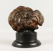 A TREE FUNGUS ON A STAND. 8ins long.