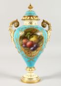 A COALPORT TWO-HANDLED VASE AND COVER, blue ground, painted with panels of fruit by CHIVERS. 10ins