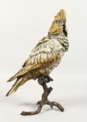 A GOOD COLD CAST PAINTED PARROT ON A STUMP. 12ins high.